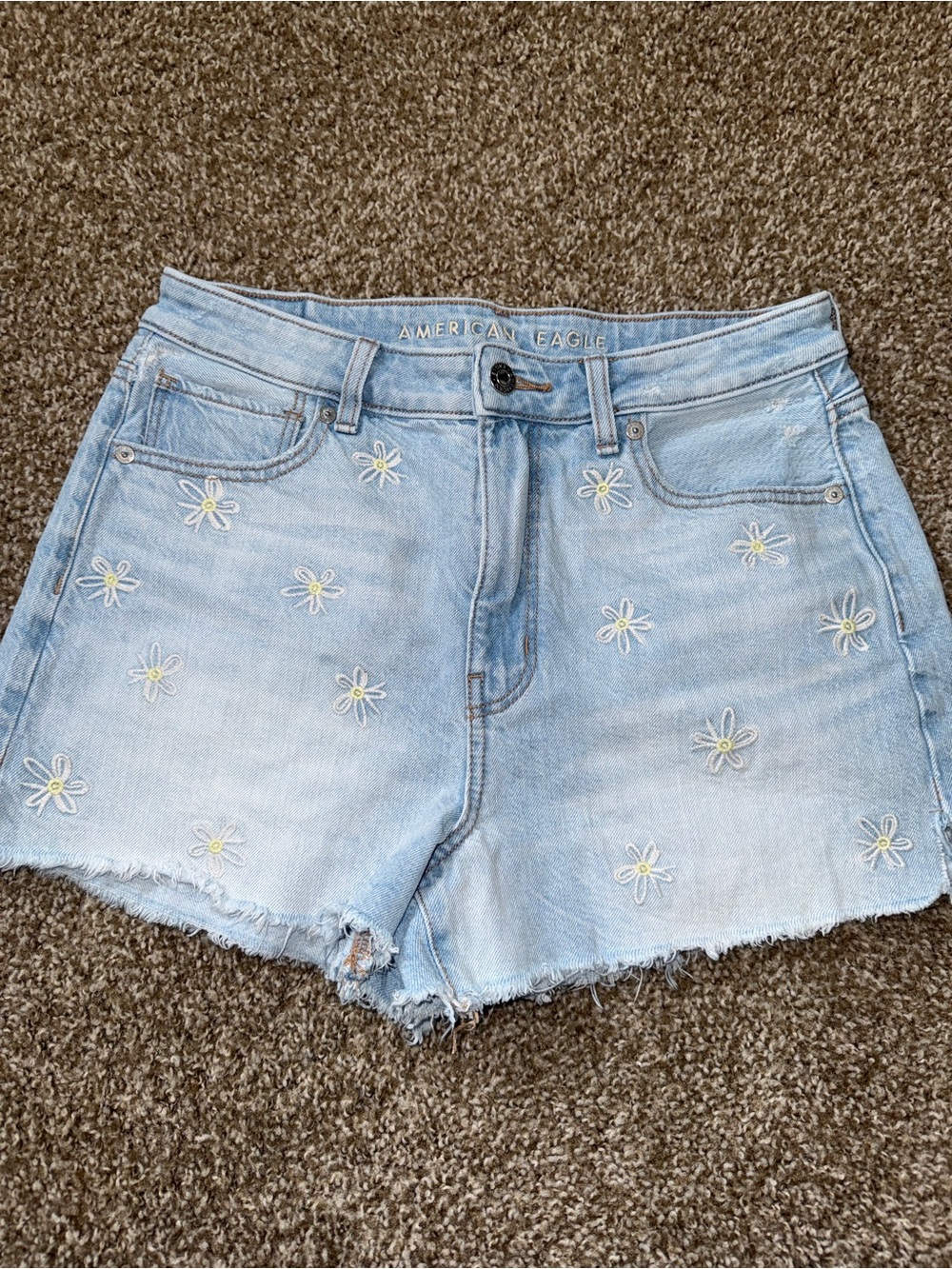 American Eagle Outfitters Light Wash Daisy Embroidered Denim Shorts